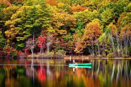 秋天，河，反思，船，钓鱼，树木，森林