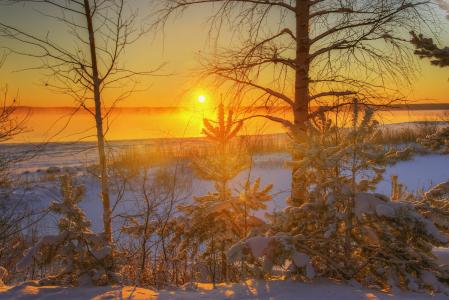 埃德Gordeev，雪，树木，Vuoks，太阳，日落，天空