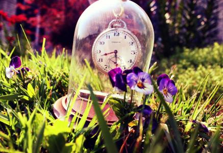 草，玻璃，三色紫罗兰，夏天，时钟