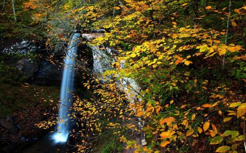 秋天，石头，森林，树木，瀑布