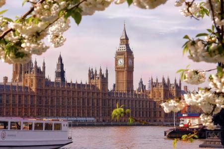 伦敦，议会大厦，河，英国，城市