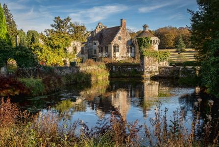 英国，池塘，Scotney城堡，灌木