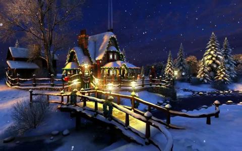 圣诞屋，灯，桥，枞树，雪，冬天