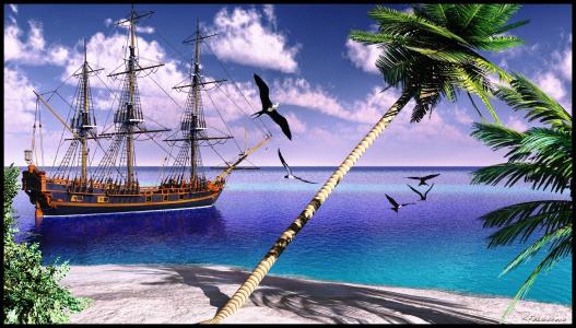 海，船，岛，棕榈树，海鸥