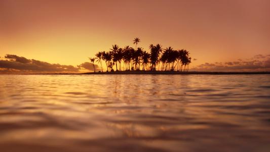 海，胰岛，棕榈树，日落，美丽