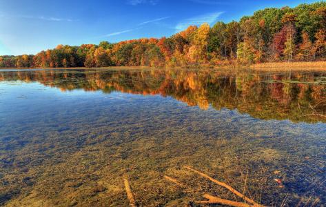 自然，秋天，河，透明度