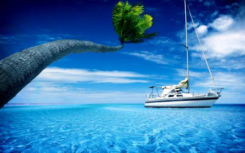 船，棕榈树，夏天，水，热，船，棕榈，天空