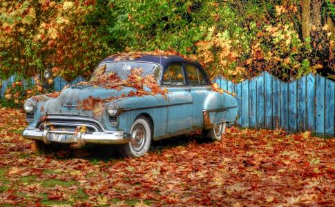 树，复古，oldsmobile，车，叶子，篱笆