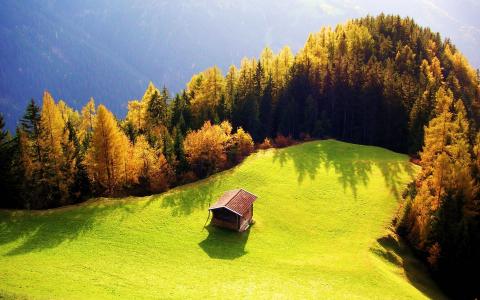 秋天，山，森林，阿尔卑斯山，休息，美丽，光，太阳，自然，欧洲