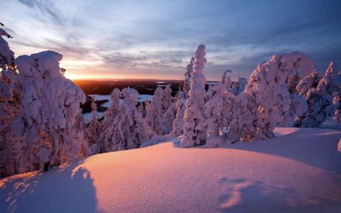 冬天，山，森林，雪，美丽，大自然