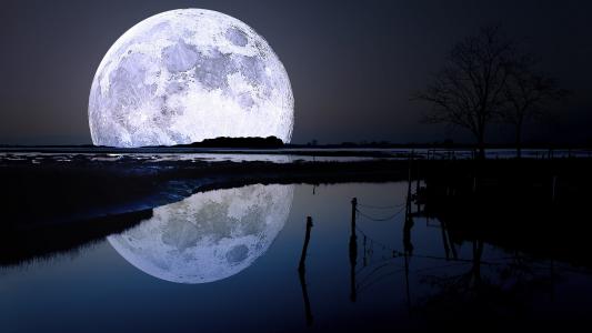 性质，月亮，晚上，河，树，天空，反射，光