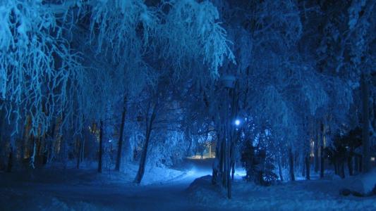 冬天，晚上，雪，美丽