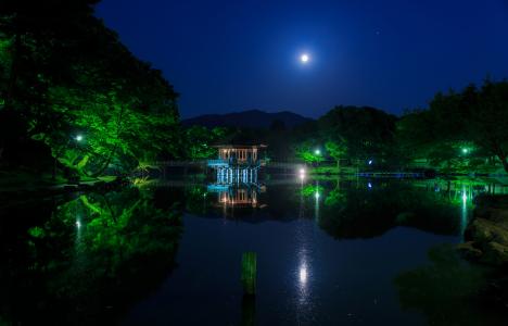 日本，公园，池塘，桥梁，树，夜，月亮，性质