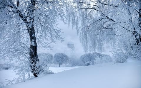 Gordeev爱德华，自然，冬天，雪，树，寺庙