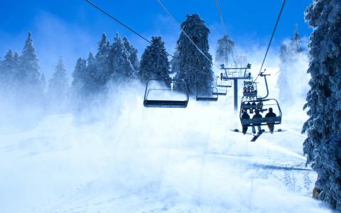 滑雪板，滑雪缆车，山，滑雪板，树木，雪