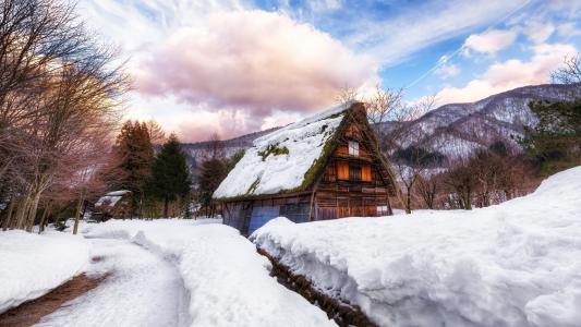 日本，村庄，房子，厚厚的积雪，冬天，树木，云彩