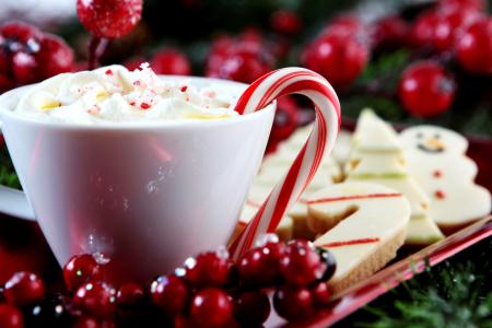 杯，饮料，奶油，糖果，糖果，甘蔗，魔杖，饼干，糕点，冬青树，冬青树，假期，冬天，新年，圣诞节，圣诞节，新年