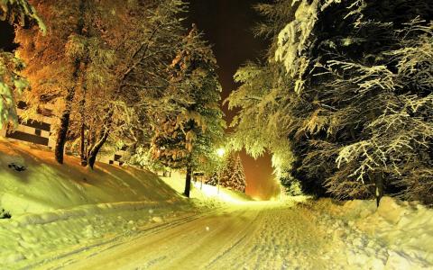 灯笼灯，积雪覆盖的道路，冬天