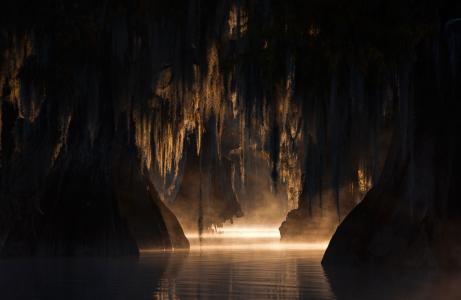 洞穴，早晨，雾