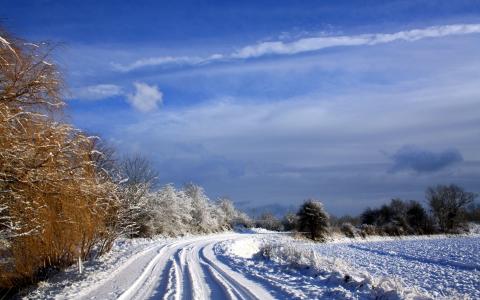 性质，冬天，路，树，天空，云，雪，白霜