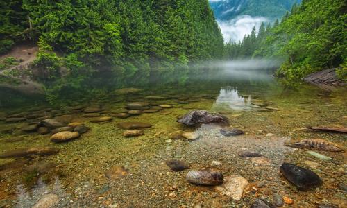 自然，山，河，森林，钓鱼，加拿大，雾，水，石头，早上