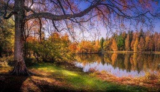秋天，天空，森林，湖，反射，芬兰
