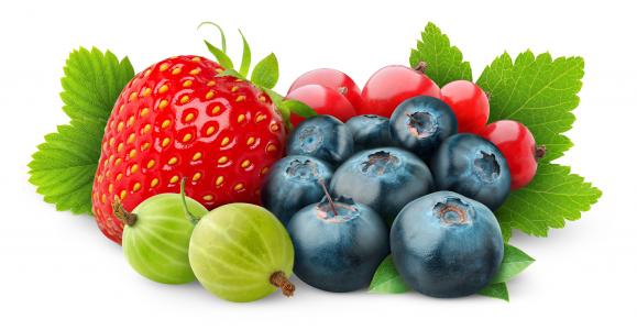 草莓，红醋栗，鹅莓，浆果，蓝莓