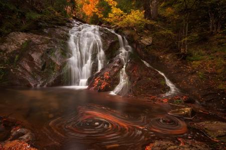 童话森林，瀑布，溪，照片，Vesela Marinova