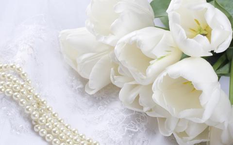 鲜花，珍珠，白色，郁金香，花边，珠子，花束