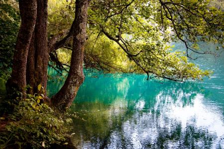 蓝色的湖，蓝色的湖，树木，树枝，反射，朱莉娅Nazarenko