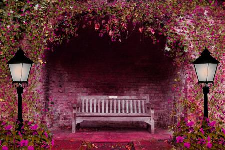 春天的花园，花，拱门，长椅，灯，粉红色