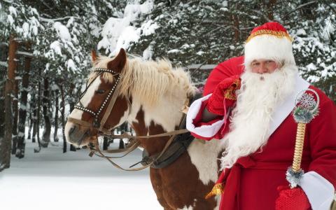 马，冬天，伟大的乌迪格，假日，圣诞老人，新的一年