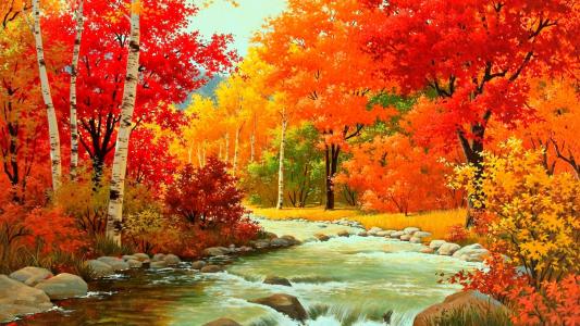 秋天，森林，补丁，叶子，树，河