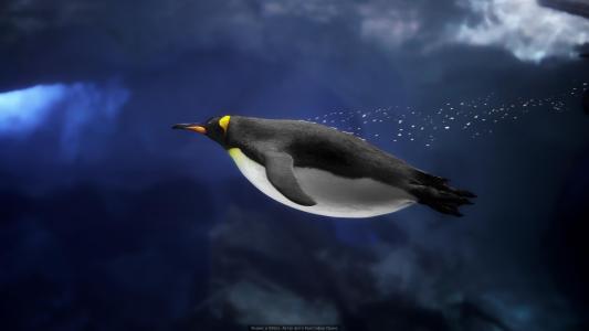 企鹅潜水员克里斯托弗·普林斯