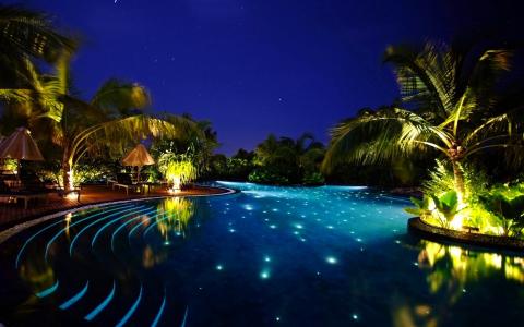 游泳池，晚上，棕榈树，美丽