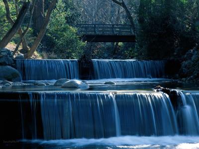 瀑布，急流，一条河流，一座森林的桥梁