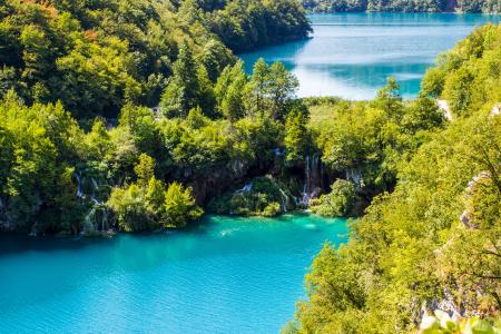 自然，美丽，湖，森林，美丽，游客，克罗地亚