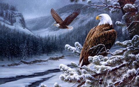 河，绘画，老鹰，罗斯玛丽milette，狂放的老鹰的精神，冬天，绘画
