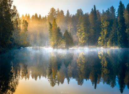 性质，秋季，芬兰，森林，池塘，湖，早晨，日出，雾