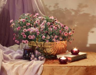 静物，静物，桌子，桌布，布，窗帘，篮子，鲜花，蜡烛，杯，书，阴影