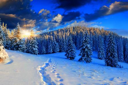 冬天，森林，自然，山，积极，雪，美丽，云