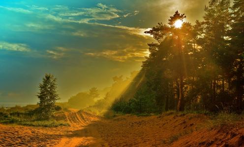 沙质路，松树，蓝蓝的天空，太阳光线，通过Spiridonova Silvana光
