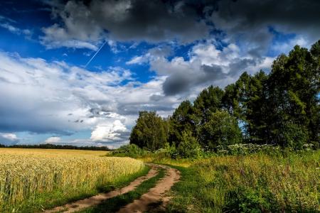 路，小穗，夏天，天空，云，场，黑麦，俄罗斯，云，茱莉亚Lapteva