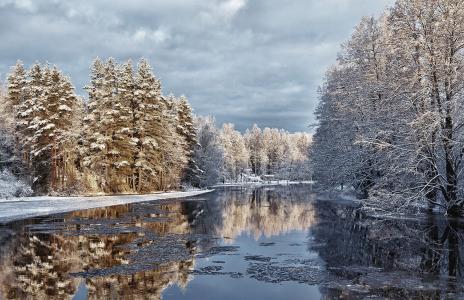 河，冬天，树，雪，美丽