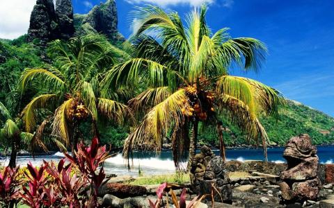 香蕉，棕榈树，石头，热带岛屿