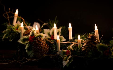 饰品，分支机构，锥，叶子，浆果，蜡烛，假期，圣诞节，花环，新的一年