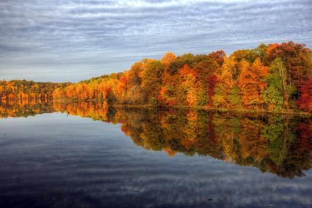 自然，秋，湖，树，森林，水，反射，美丽