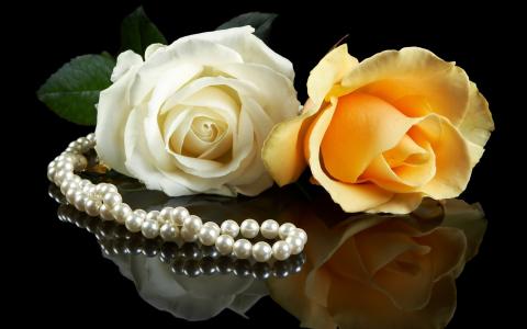 鲜花，黄色，玫瑰，背景，珍珠，夫妇，白色，黑色