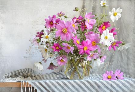 围巾，花瓶，鲜花，kosmeja，夏天