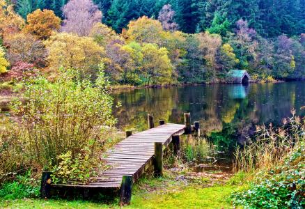 苏格兰，性质，秋季，树，森林，湖，桥